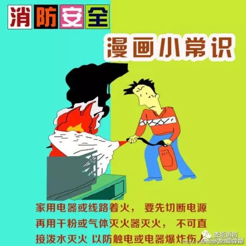 家庭实用常识:让生活更加轻松优雅